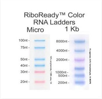AMRESCO Offers New RiboReady™ Color RNA Ladders for Easy Band Identification on Denaturing Gels and Northern Blots