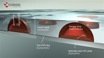 Curiox Biosystems Introduces DropArray™, the Solution to Cell Loss