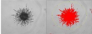 Integrating matrix into 3D spheroid culture enables high throughput measurement of cell invasion