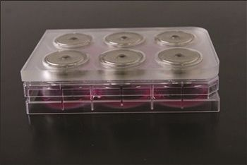 MIDSCI Offers Bio-Assembler Kits for 3-D Cell Culture