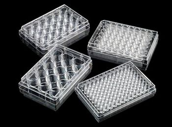 Untreated Microplates for Growing Cells in Suspension