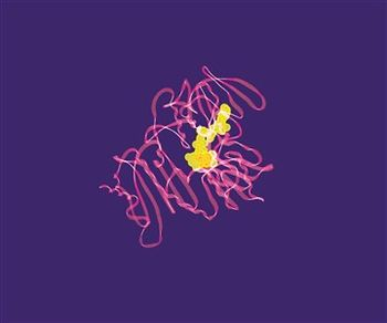 Highly Specific Aptamer Protein Precipitation Kits