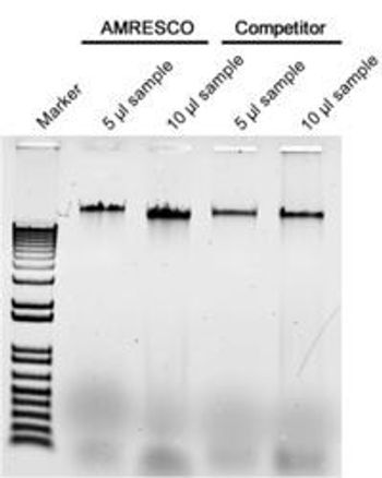 AMRESCO’s New Yeast Genomic DNA Purification Kit Extracts High Quality, High Molecular Weight DNA in Under an Hour