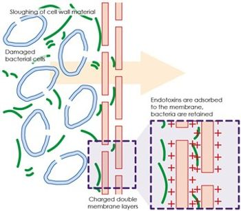 Positively Charged Nylon Membrane Filter Produces Highly Effective Reduction of Endotoxins