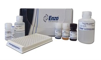 New KIM-1 ELISA Kit from Enzo Life Sciences, Inc. is Most Sensitive for Quantifying Biomarker of Early Stage Kidney Injury and Disease