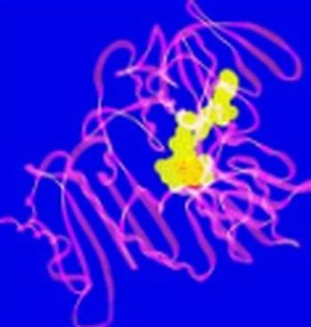 Aptamer Kits for Cell Isolation & Flow Cytometry