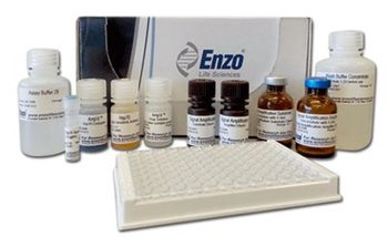 New Ultra-Sensitivefrom Enzo Life Sciences, Inc. for Detection of Baseline & Upregulated Levels of HSP70