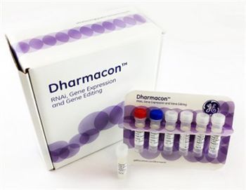 GE Healthcare Life Sciences’ Dharmacon launches innovative gene engineering platform