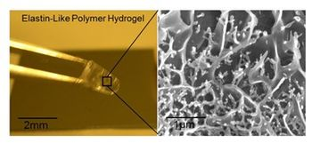 Malvern Instruments Zetasizer Nano plays key role in research to develop 3D cell cultures