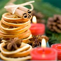 Extracting the Scents & Smells of Christmas