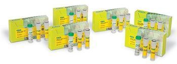 Bio-Rad Expands ddPCR™ Multiplex Mutation Screening Kit Portfolio for Cancer Research