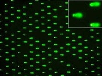 High-throughput 96-Well Array for Direct Measurement of DNA Damage