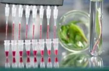Efficient DNA Extraction from Plant Tissue