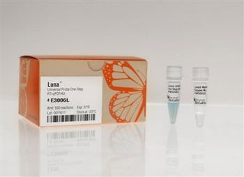 New England Biolabs® Lights The Way With Luna® Universal Kits For Simplified qPCR and RT-qPCR