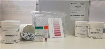 SYGNIS AG announces the launch of the Universal Lateral Flow Assay kit and associated patent filing
