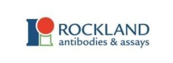 CEDARVILLE Engineering Group & Rockland Immunochemicals, Inc. Collaborate Together on a 3D Bioprinting Discovery Project