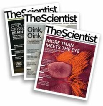 The Scientist Earns Folio Gold for Top Editorial