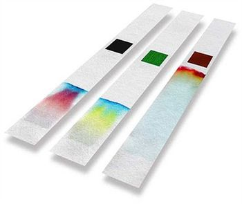 Chromatography Support and Repair