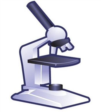 The Importance of Microscopy in the Laboratory