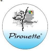 InfoMetrix - Pirouette