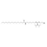 Link Technologies - Palmitate-C6-CE Phosphoramidite