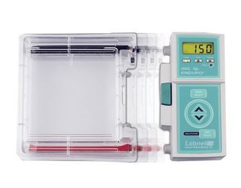 Labnet - ENDURO&trade; Gel XL Electrophoresis System