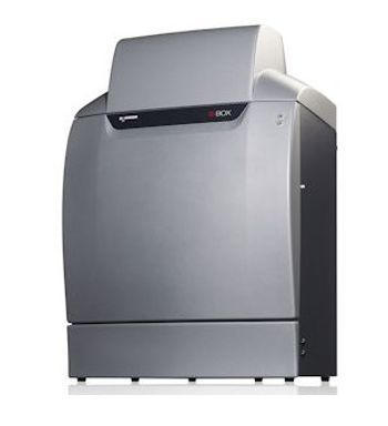 SYNGENE - G:BOX Chemi XT4