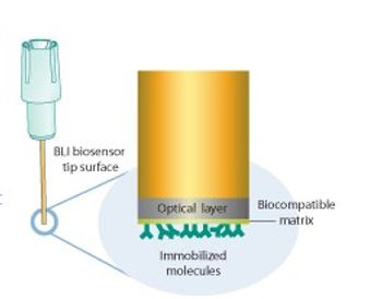 ForteBio - Dip and Read&trade; Biosensors and Assays