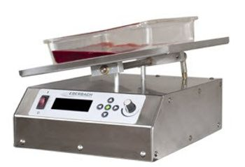 Eberbach - E6700 - Platform Rocker
