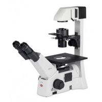 Motic - AE31 ELITE Series