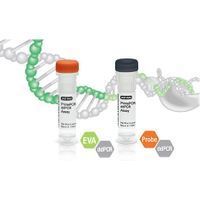 Bio-Rad Laboratories, Inc. - Digital PCR Assay