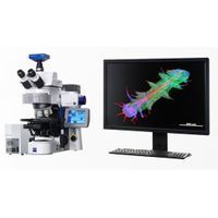 ZEISS - Axio Imager 2 Research Microscope
