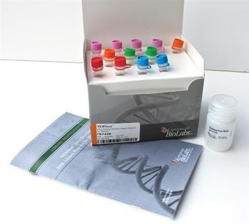 Library Quant Kit New England Biolabs - NEBNext® Library Quant Kit for Illumina ...