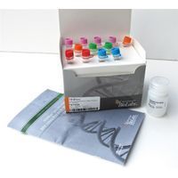 New England Biolabs - NEBNext® Library Quant Kit for Illumina®