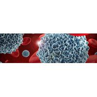 Lonza Group Ltd. - Hematopoietic and Immune Cells Knowledge Center