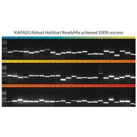 Kapa Biosystems - KAPA2G Robust PCR Kits