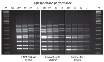 Kapa Biosystems - KAPA2G Fast Multiplex