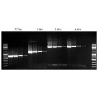 Kapa Biosystems - Long Range PCR Kits