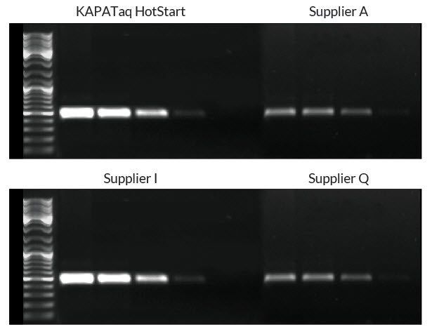 Kapa Biosystems - Taq PCR Kits Community, Manuals and Specifications ...