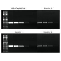 Kapa Biosystems - Taq PCR Kits