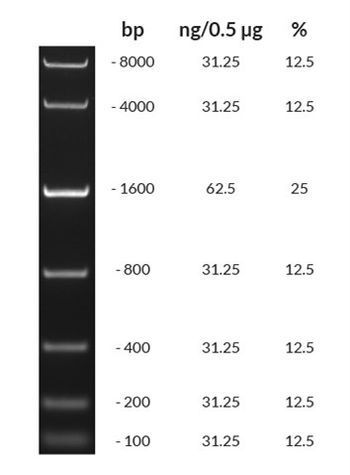 Kapa Biosystems - KAPA DNA Ladders