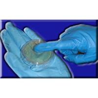 Aseptic Enclosures - Aseptic Enclosures Gloved Fingertip Sampling Contact Plates