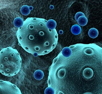 AMSbio - Exosome Quantification Kits