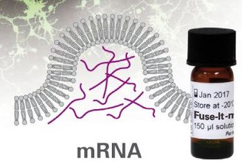 ibidi - Fuse-It-mRNA