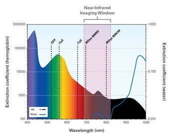 LI-COR - IRDye® Infrared Dyes