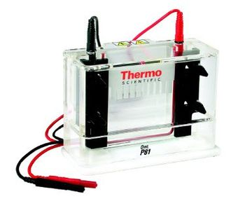 Thermo Scientific - Owl P81 Single-Sided Vertical Electrophoresis System
