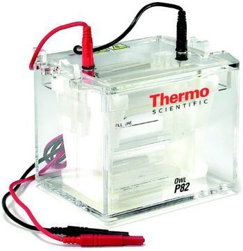 Thermo Scientific - Owl P82 Dual-Gel Electrophoresis Double Sided Vertical System