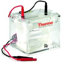Thermo Scientific - Owl P82 Dual-Gel Electrophoresis Double Sided Vertical System