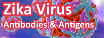 AMSbio - Zika Virus Antibodies and Antigens