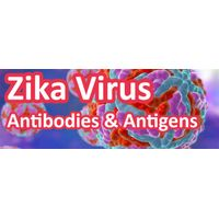 AMSbio - Zika Virus Antibodies and Antigens